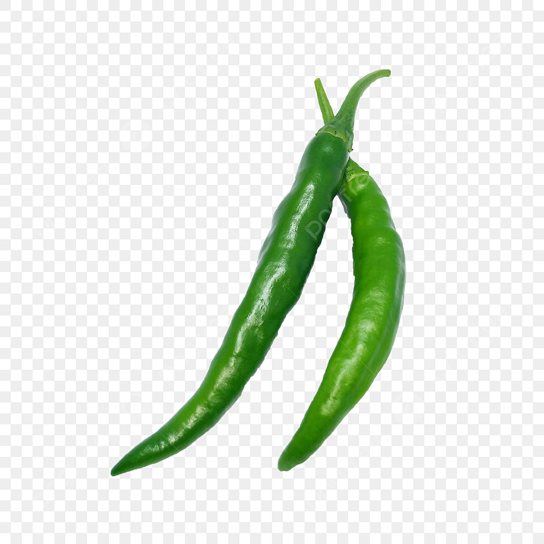 FRESH GREEN CHILLI